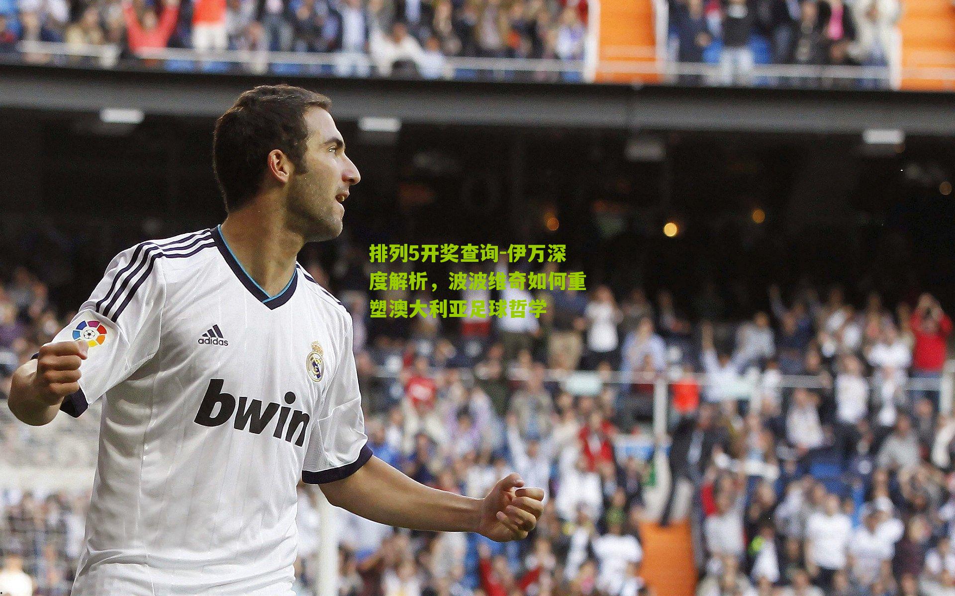 伊万深度解析，波波维奇如何重塑澳大利亚足球哲学