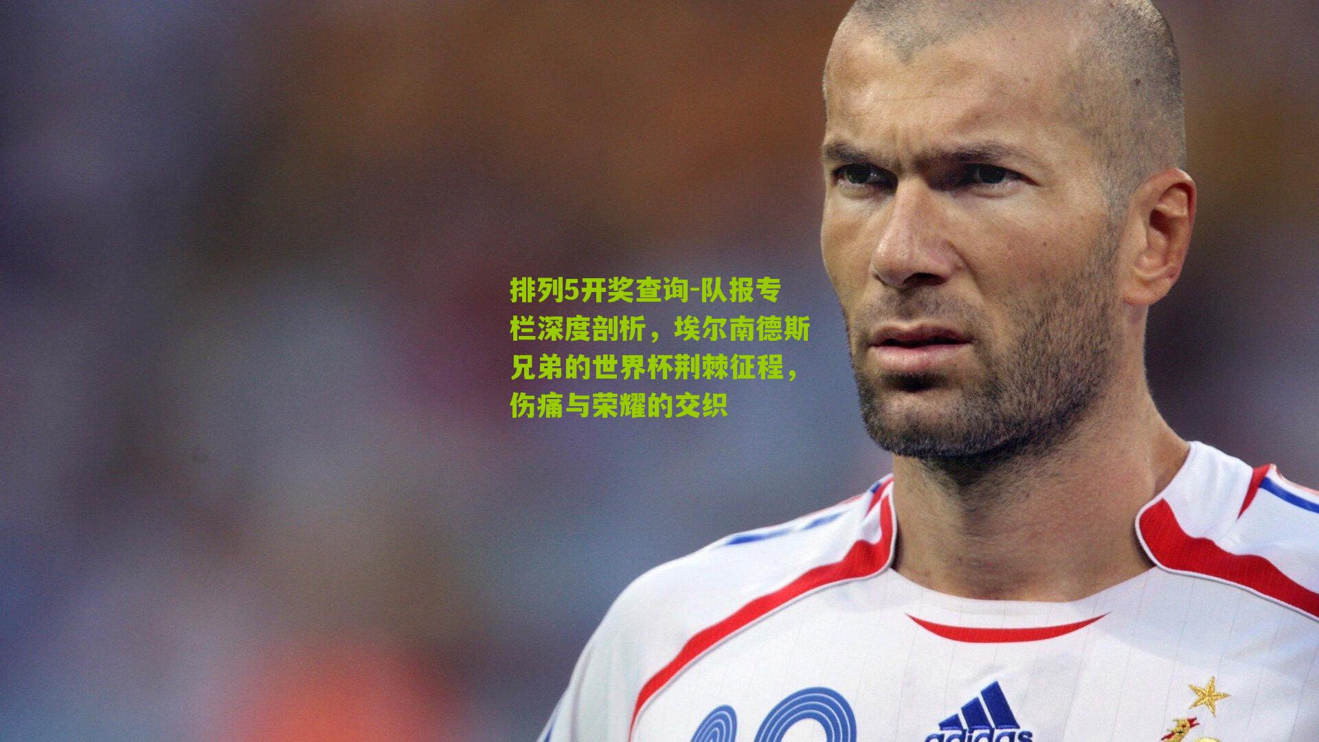 队报专栏深度剖析，埃尔南德斯兄弟的世界杯荆棘征程，伤痛与荣耀的交织