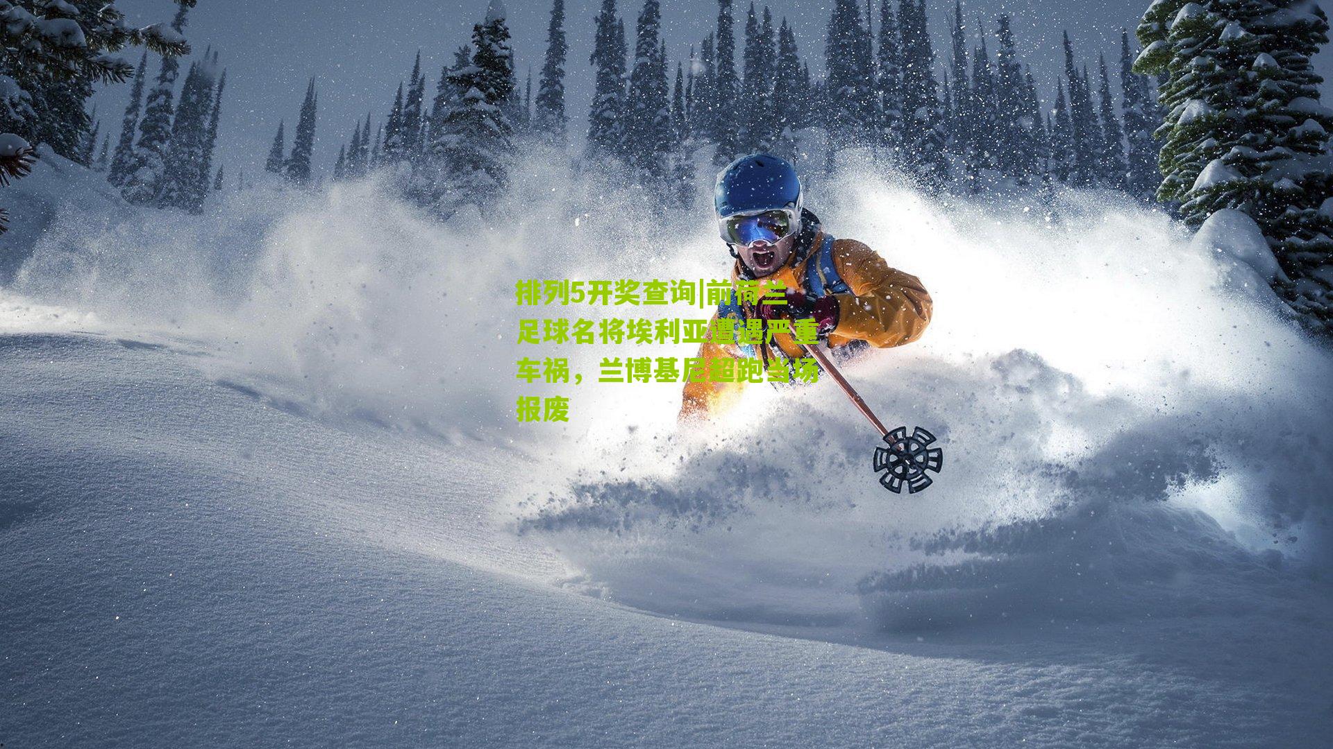 前荷兰足球名将埃利亚遭遇严重车祸，兰博基尼超跑当场报废